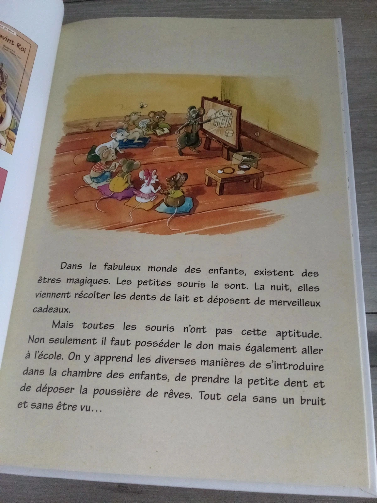 Boek + doosje de kleine muis – photo 6